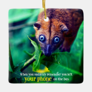 Big Eyed Possum Ceramic Ornament