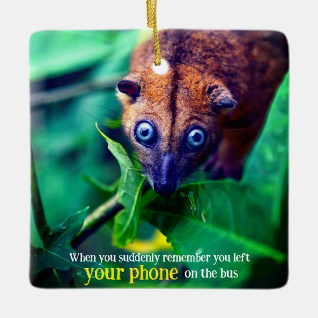 Big Eyed Possum Ceramic Ornament (Front)