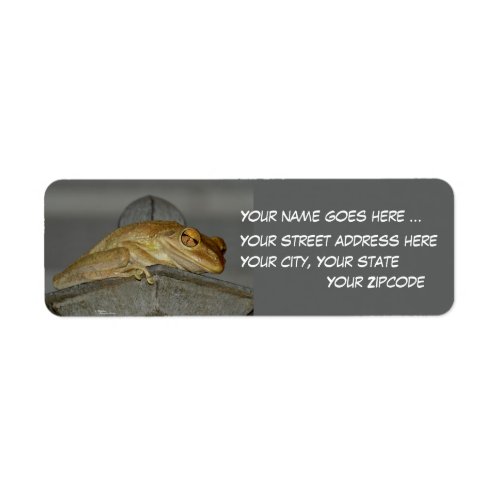 Big eyed Tree frog Return Address Labels