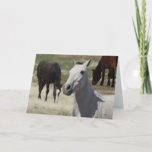 Big Eyes Pretty Little Gray Gray Pony Herd Blank Card