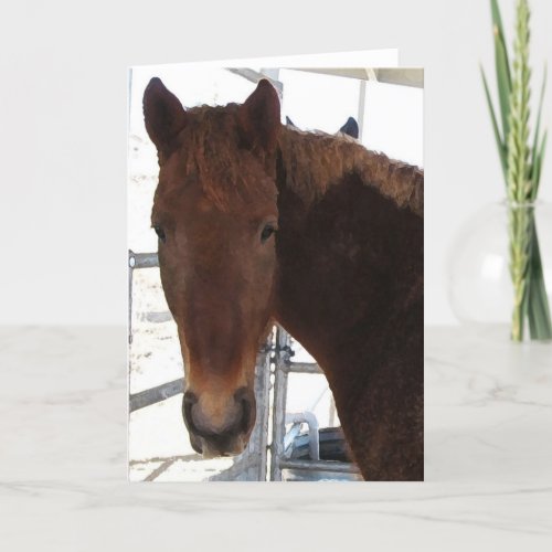 Big Eyes Red Tennessee Walking Horse  TWH Blank Card