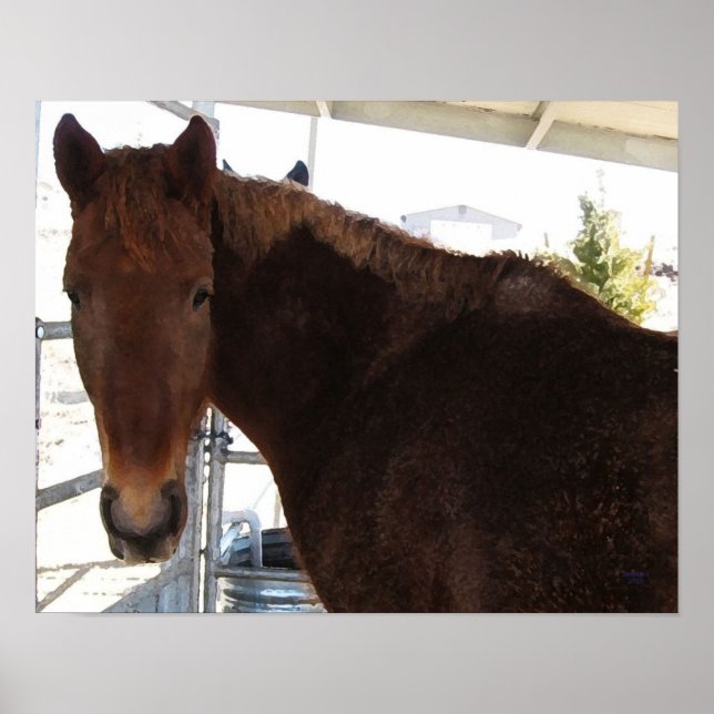 Big Eyes Red Tennessee Walking Horse - TWH Poster (Front)