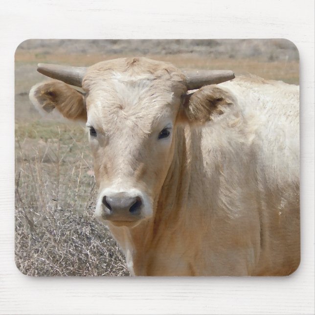 Big Eyes White Charolais Cattle - Western Mouse Pad (Front)