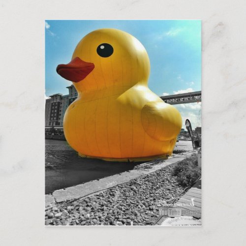 Big Famous Rubber Duck In Erie PA Postcard