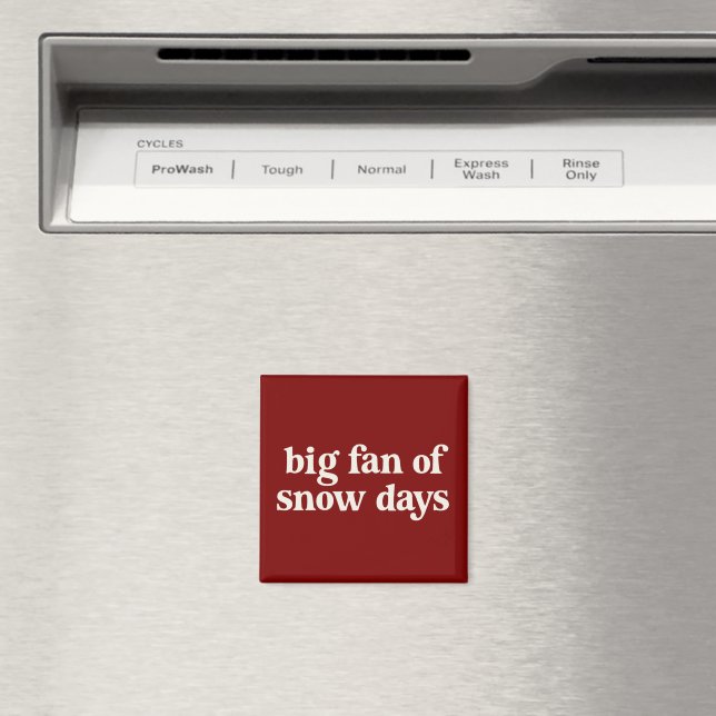 Big Fan of Snow Days Funny Winter Break Teachers  Magnet (In Situ (Dishwasher))