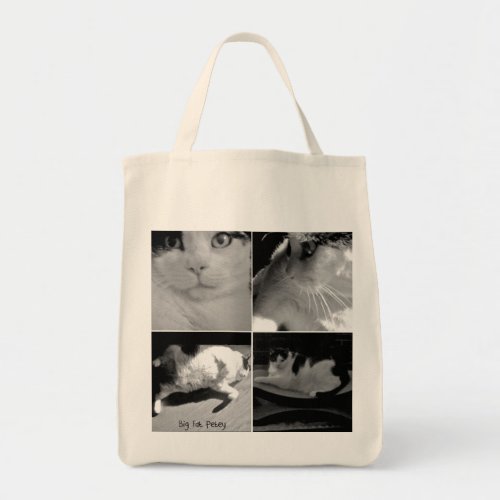 BIG FAT PETEY GROCERY TOTE BAG