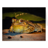 Big Fat Toad (Front Horizontal)