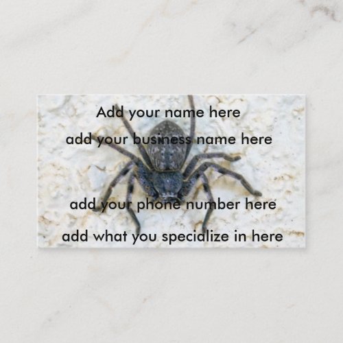 Big  Female Huntsman Spider Business Card
