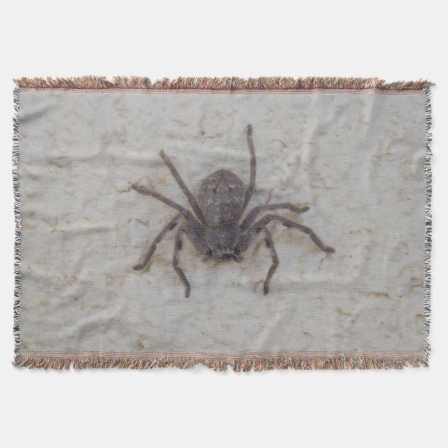 Big Female Huntsman Spider, Throw Blanket (Front)