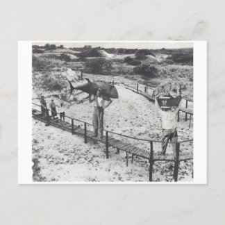 Big fish - invitation postcard