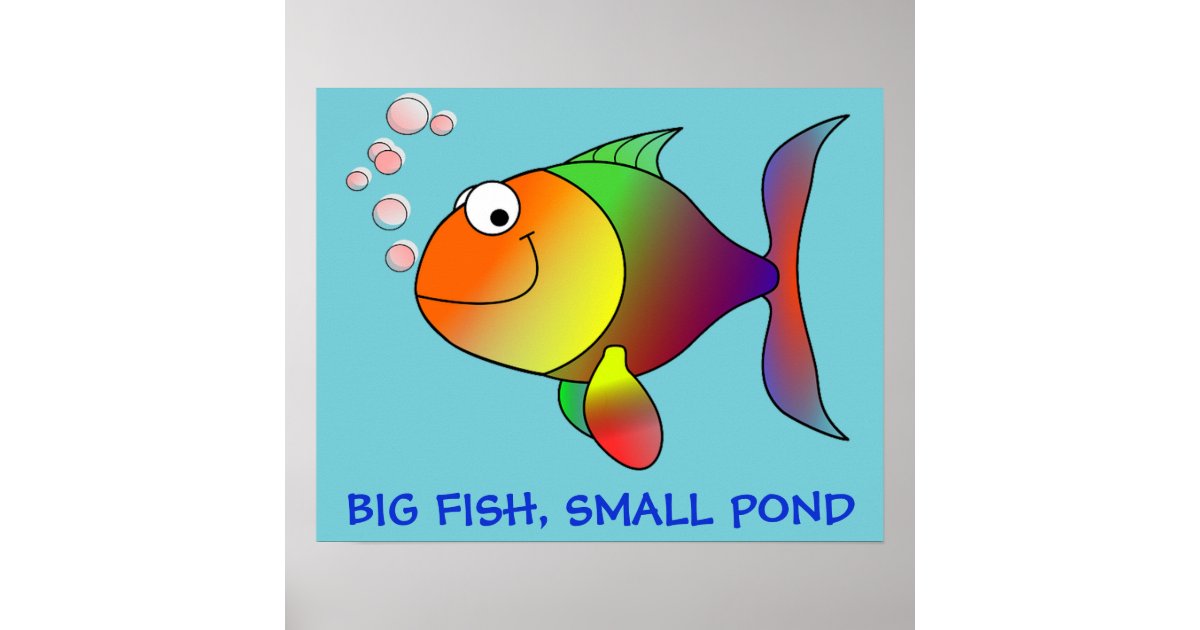 BIG FISH, LITTLE POND - Poster | Zazzle