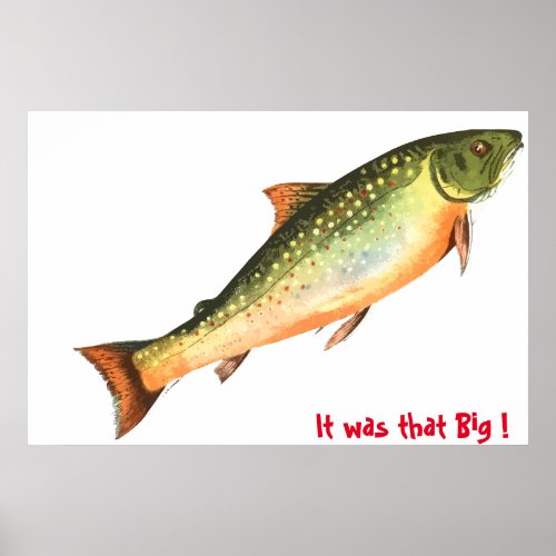 Big Fish  Poster