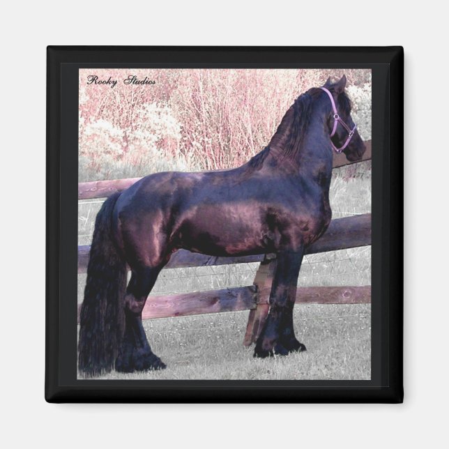 Big Friesian Horse Magnet (Front)