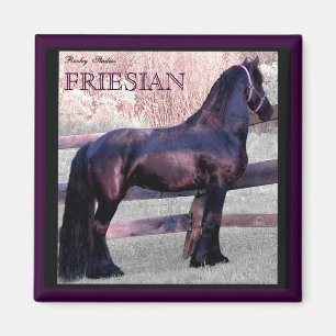 Big Friesian Horse Magnet 2