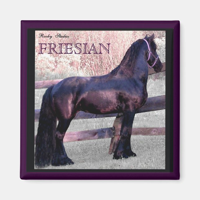 Big Friesian Horse Magnet 2 (Front)
