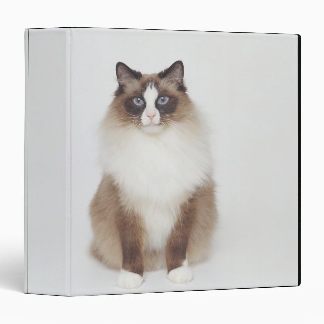 Big Furry Cat Binder (Front/Spine)
