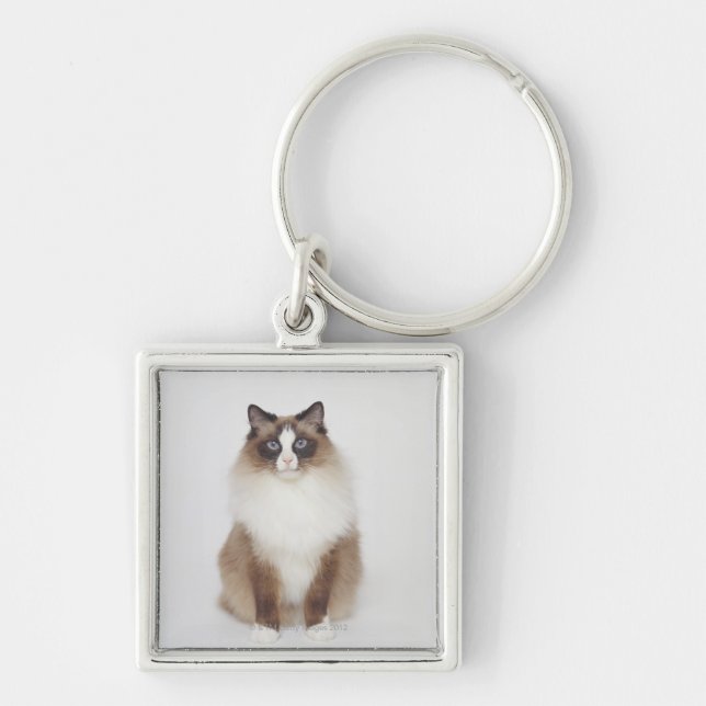 Big Furry Cat Keychain (Front)