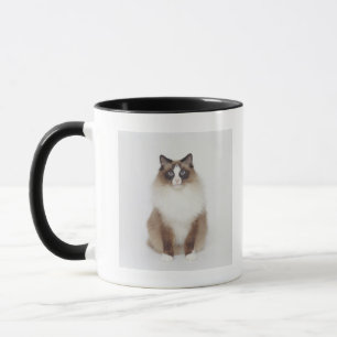 Big Furry Cat Mug