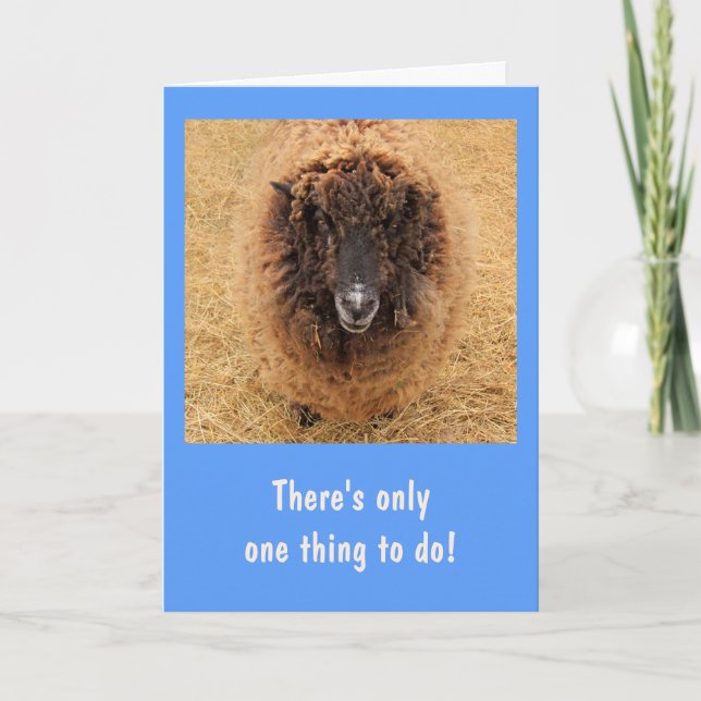 Big Fuzzy Serious Sheep Get Well Card (Front)