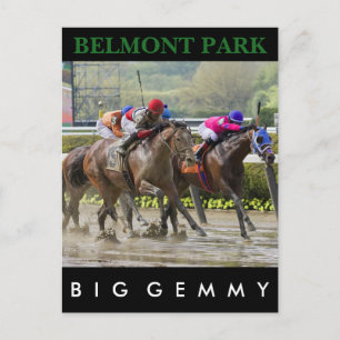Big Gemmy - Jose Lezcano NY Bred Postcard