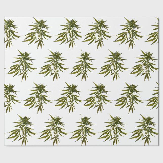 Big Green Buds on White Personalized Wrapping Paper (Seam)