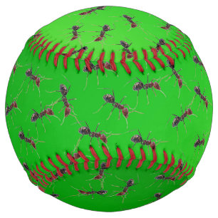 Big Green Bullants, Softball