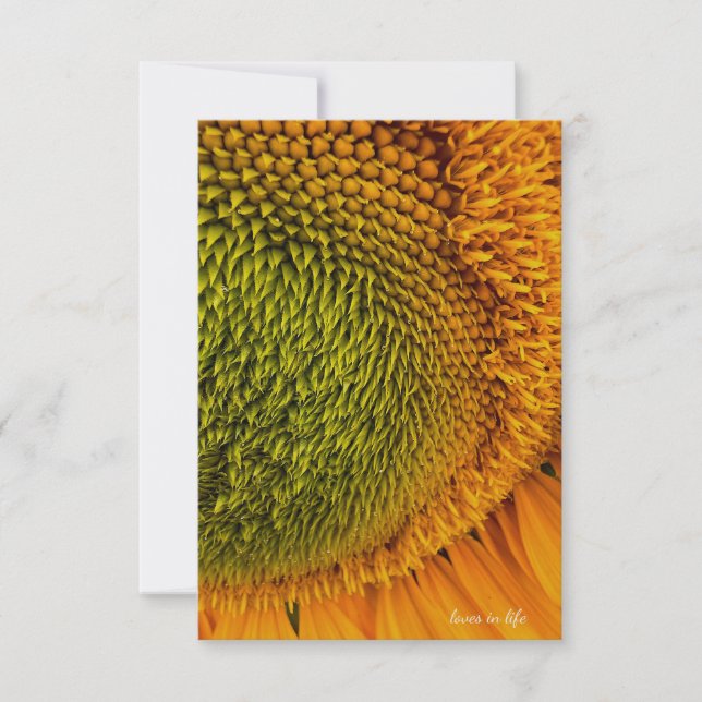 Big Green Center Sunflower Note Card (Front)
