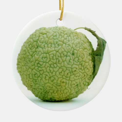 Big Green Hedgeapple Ceramic Ornament