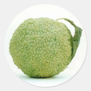 Big Green Hedgeapple Classic Round Sticker