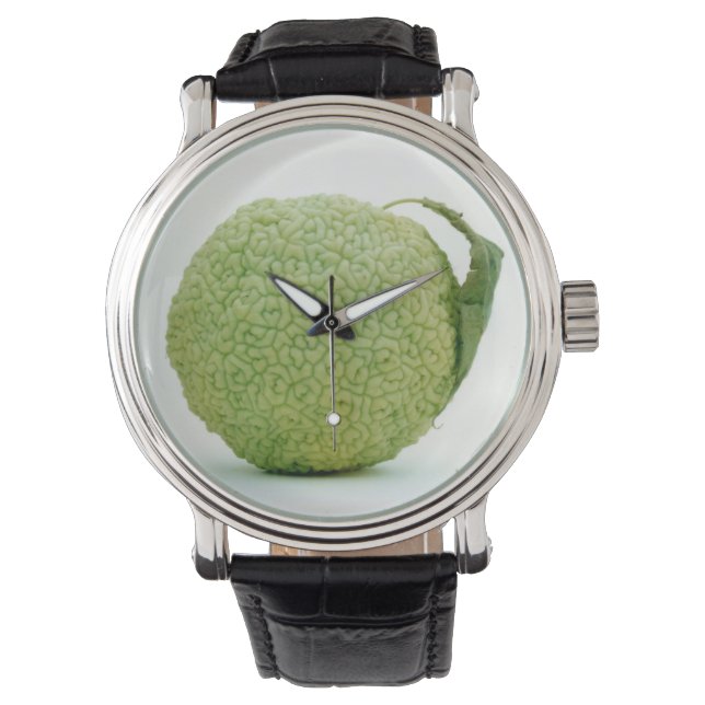 Big Green Hedgeapple Osage Orange Watch (Front)