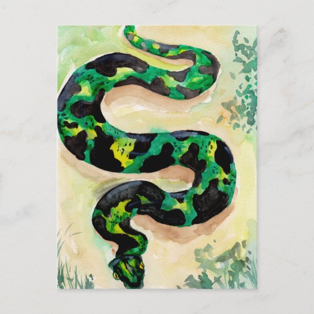 Big Green Snake Postcard (Front)