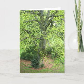 Big Green Tree Greeting Card