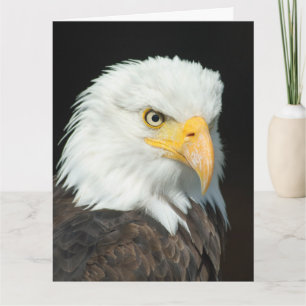 Big Greeting Card - Nature Bird Eagle