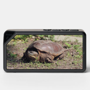 Big guy bluetooth speaker