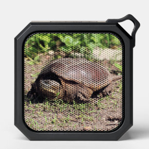 Big guy bluetooth speaker