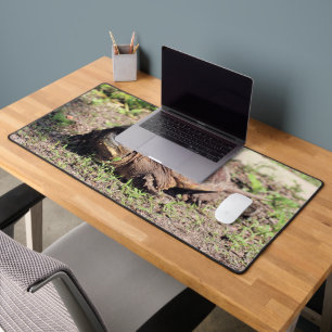 Big guy desk mat