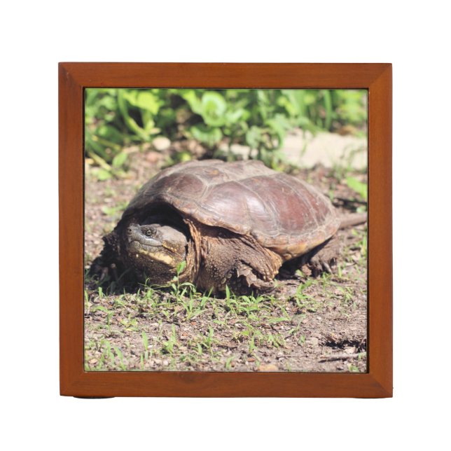 Big guy desk organizer (Front)