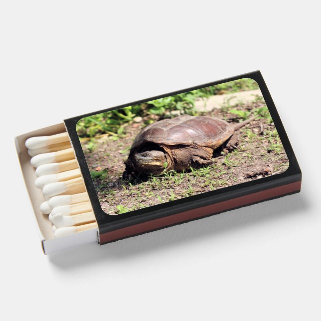 Big guy matchboxes (Front Open)