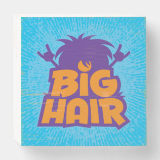 Big Hair Band Logo Wooden Box Sign