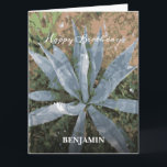 Big Happy Birthday Men Watercolor Plants Custom Card<br><div class="desc">Big Happy Birthday Men Watercolor Plants Custom Card has a beautiful plant that can be appreciated. Replace information with yours and give to that special person in your life. Photograph by Denise Bennerson,  photographer</div>