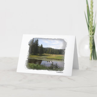Big horn Mountains Card