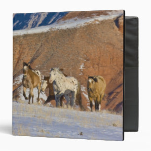 Big Horn Mountains, Horses running 3 Ring Binder
