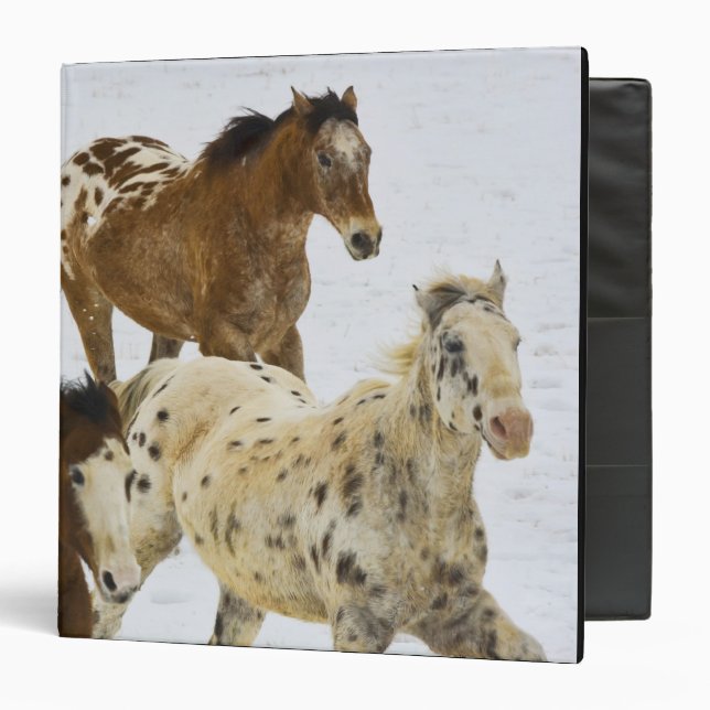 Big Horn Mountains, Horses running in the snow Binder (Front/Inside)