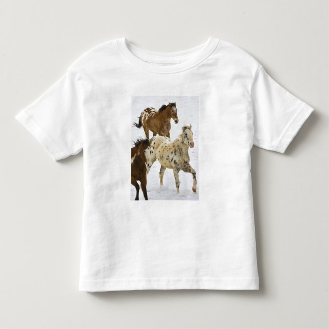 Big Horn Mountains, Horses running in the snow Toddler T-shirt (Front)