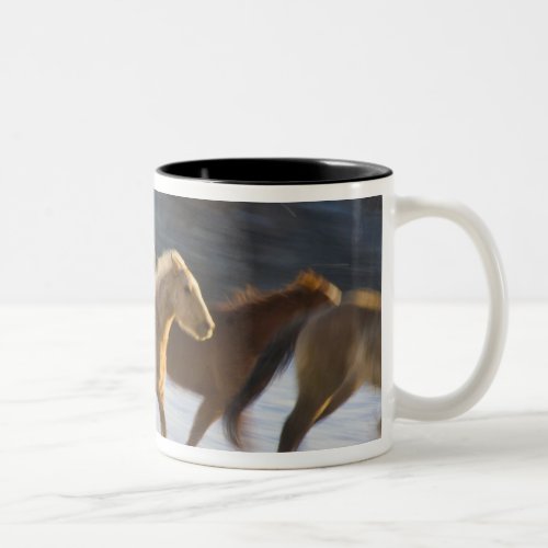 Big Horn Mountains Horses running in the snow Two_Tone Coffee Mug