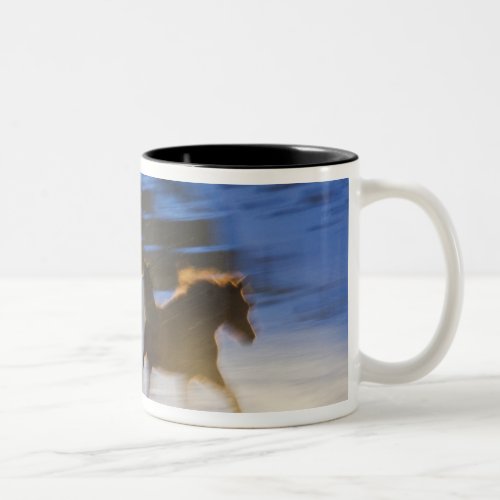 Big Horn Mountains Horses Running in the Snow Two_Tone Coffee Mug