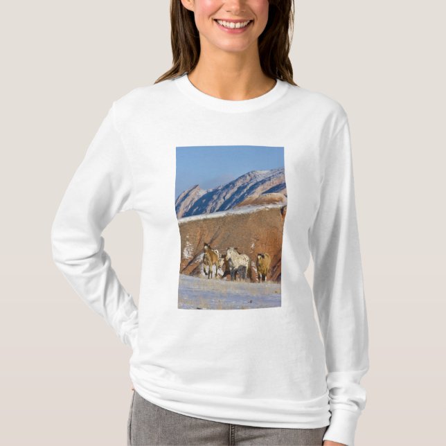 Big Horn Mountains, Horses running T-Shirt (Front)