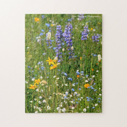 Big Horn Mtn Wild Flowers in WY _ Jigsaw Puzzle