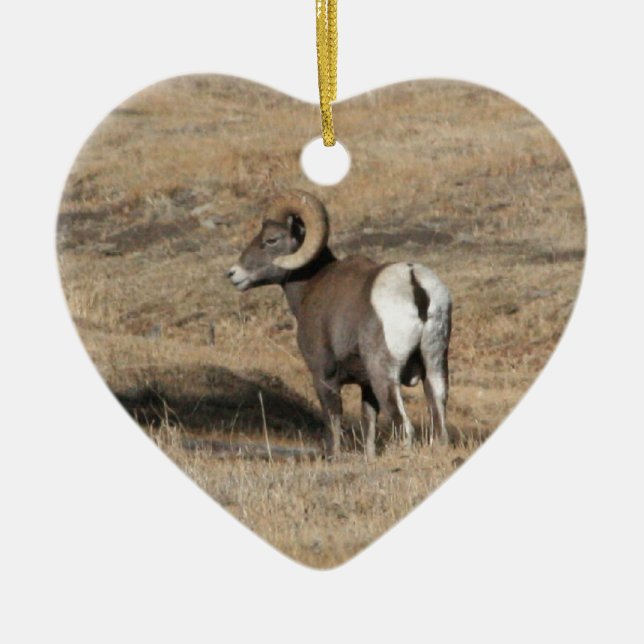 Big Horn Ram Ceramic Ornament (Front)