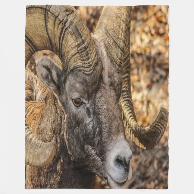 Big Horn Ram Fleece Blanket (Front)